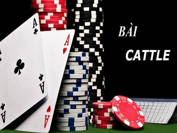 Mẹo chơi bài Catte 6 lá dễ ăn thưởng lớn tại Go88