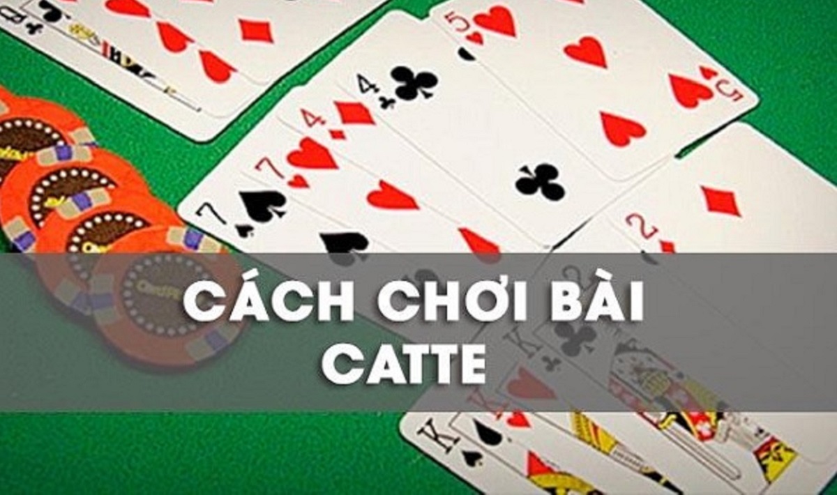 Mẹo chơi bài Catte 6 lá dễ ăn thưởng lớn tại Go88