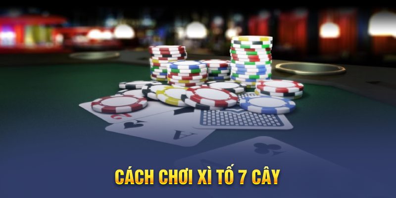 Bí kíp đánh Xì tố 7 cây cho newbie mới chập chững bước vào nghề